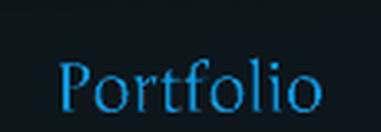 Portfolio section icon